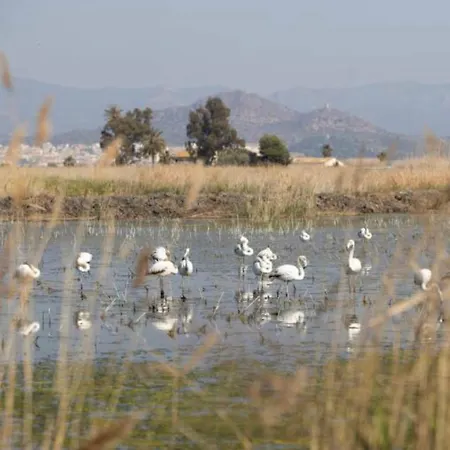 Almenara Beach Διαμέρισμα Almenara